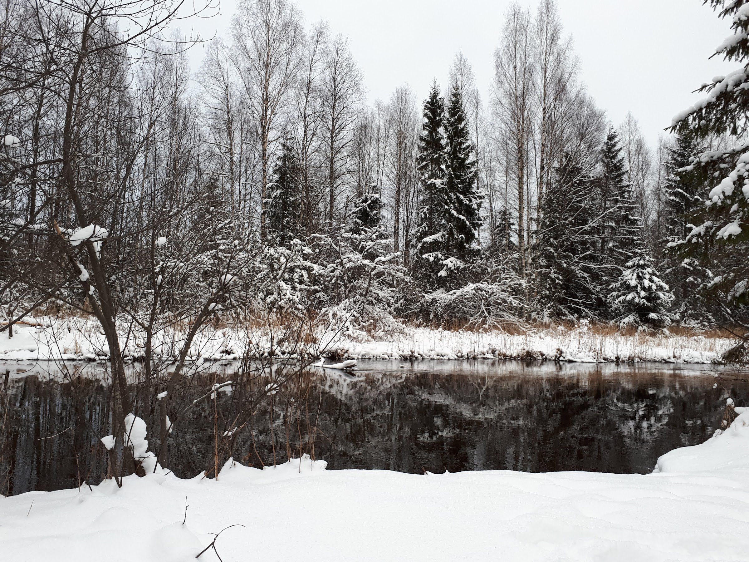 RMK Kirikumäe lõkkekoht